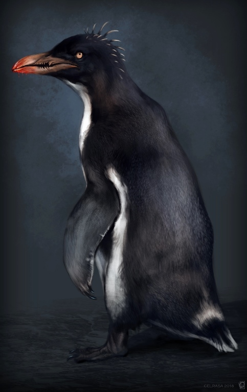 Evil Penguin Raining evil penguin by Celrasa on DeviantArt
