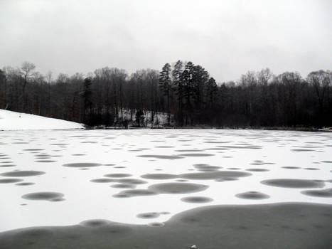 Ice on a Pond 4