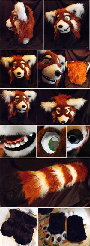 Red Panda partial