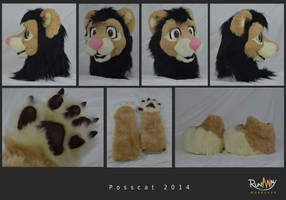 Lion Partial commission