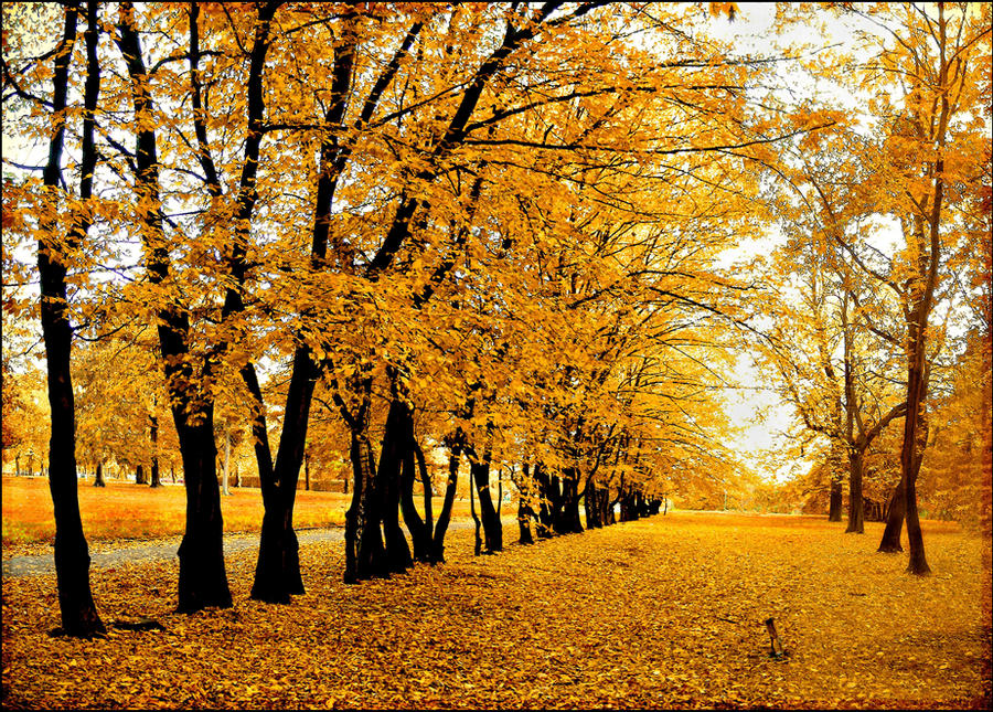 Polish autumn...