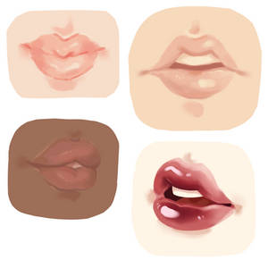 Lip Studies