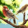 A Pair of Finches