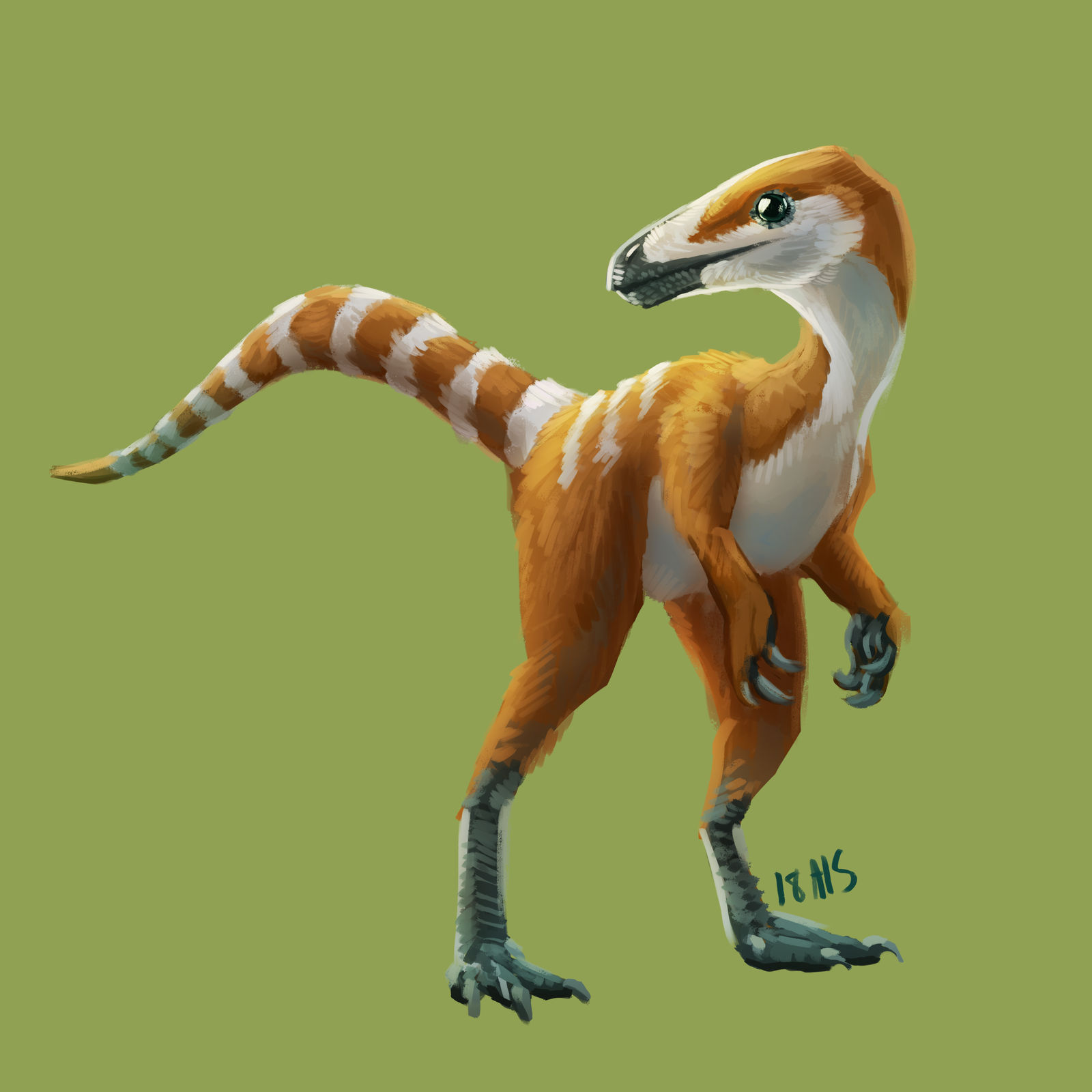 300 Sinosauropteryx By Triruntu On DeviantArt 300-sinosauropteryx-by-triruntu-on-deviantart