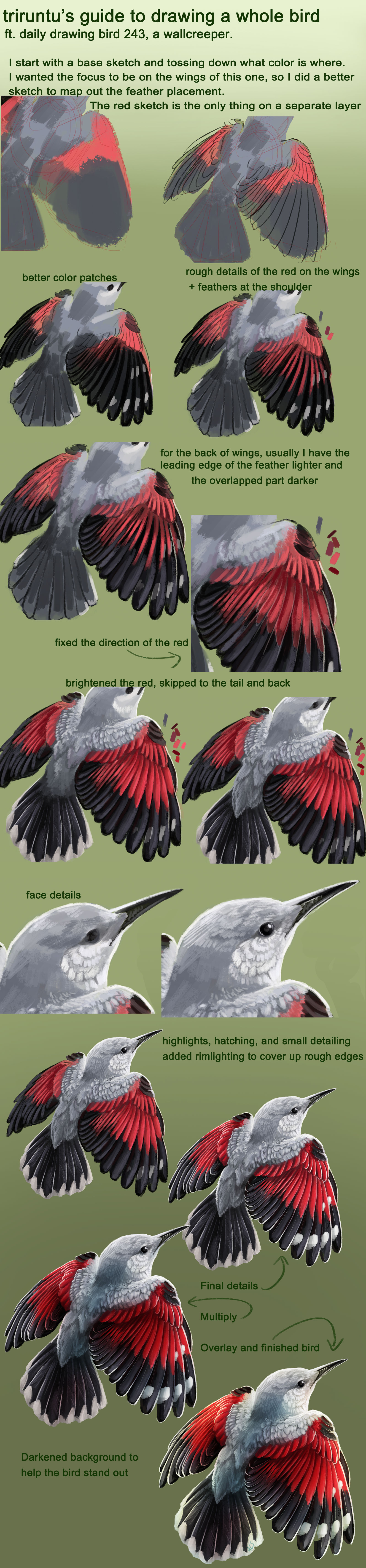 Birds Deviantart How I Paint Birds by triruntu on DeviantArt