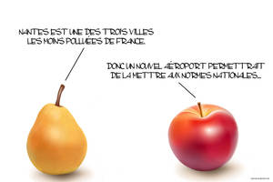 Fruits des fondus - 369