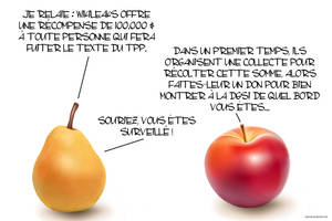 Fruits des fondus 874