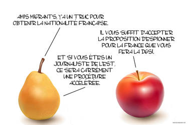 Fruits des fondus 888