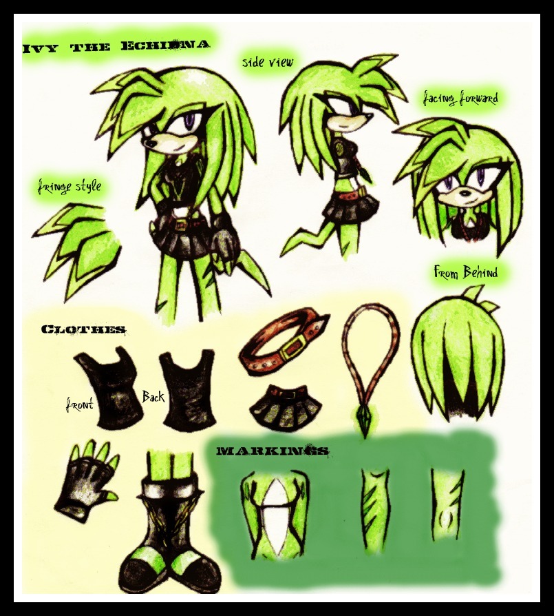 Ivy Reference Sheet