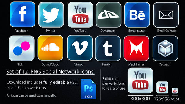 Social Network Icons - 2012