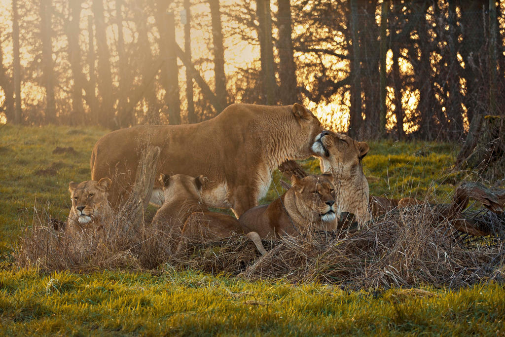 Family time