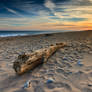 Driftwood at Moonstone Beach - Mike Dooley