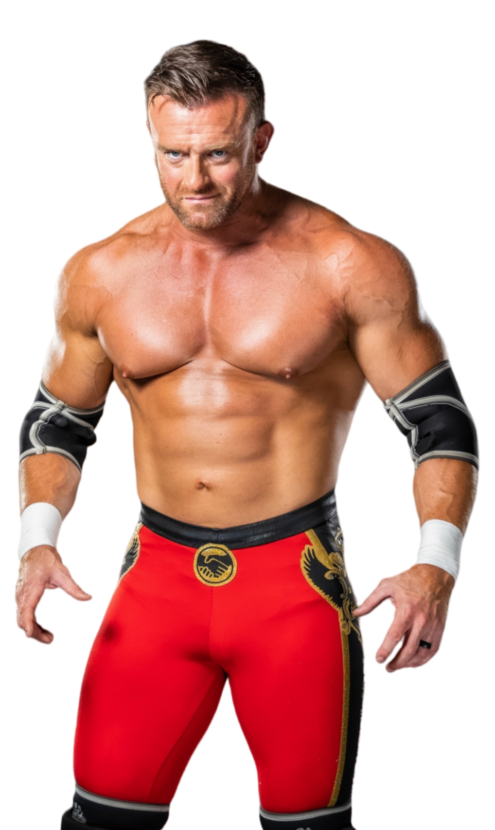 Nick Aldis 2 by JKing1996 on DeviantArt