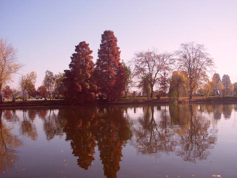 Silence in the Lake