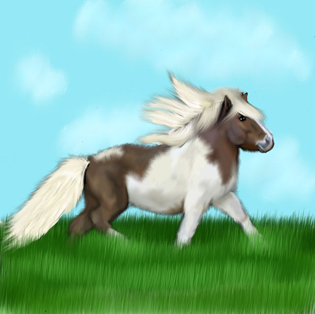 Run pony run by Catcorpse on DeviantArt