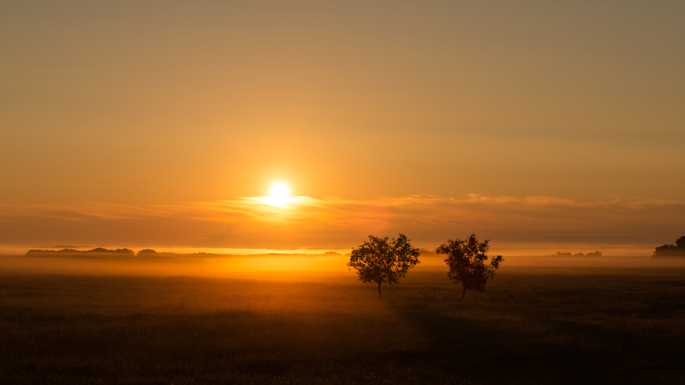 Couple and the Sun