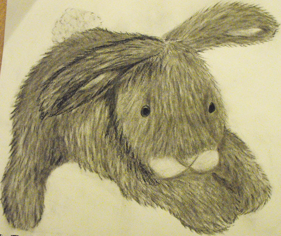 Furry Bunny by Dragonfoxx70 on DeviantArt