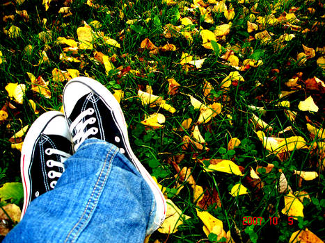 Converse in Fall