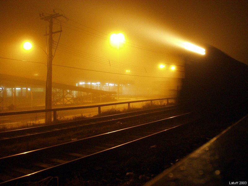 Locomotive in the mist