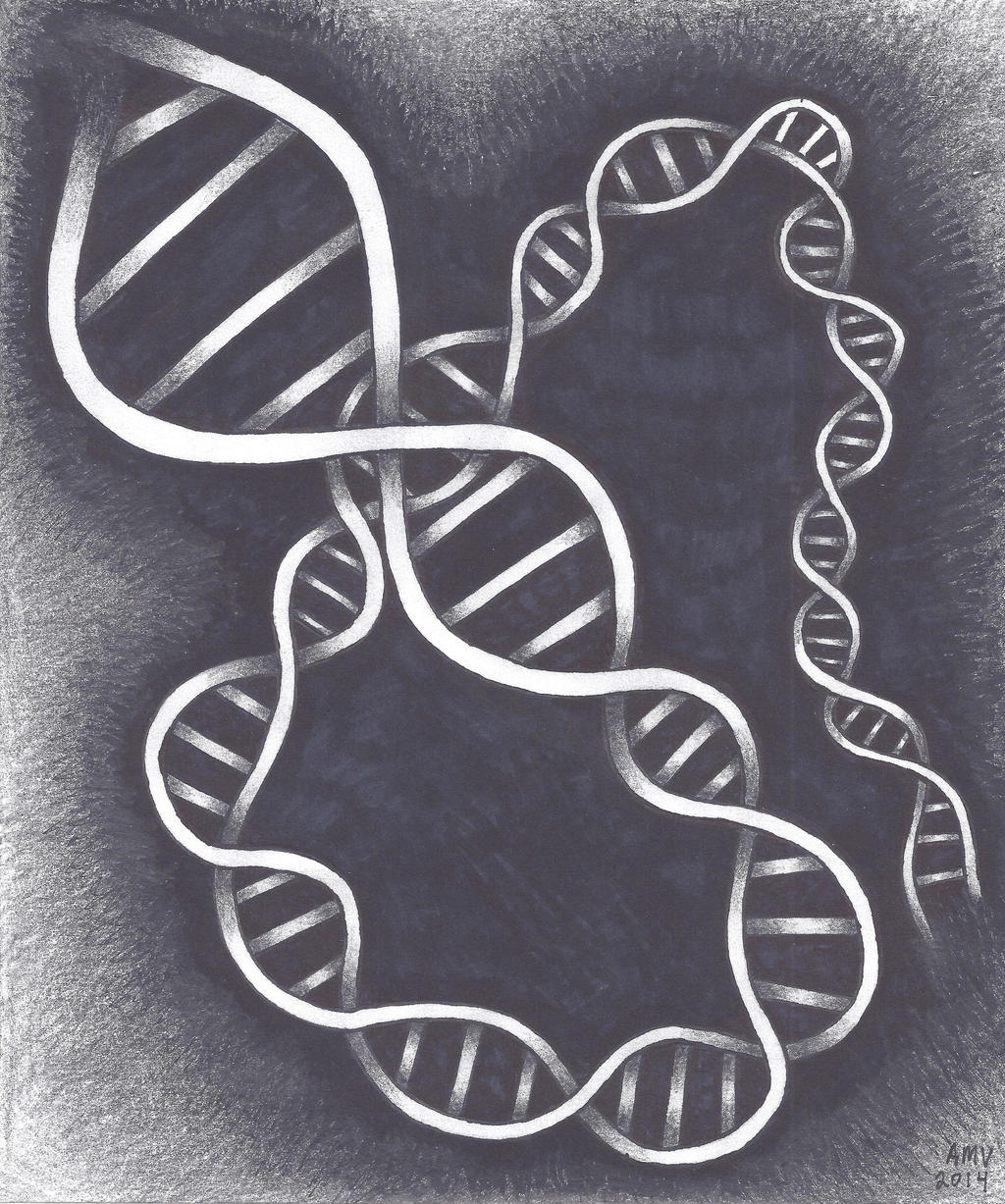 DNA