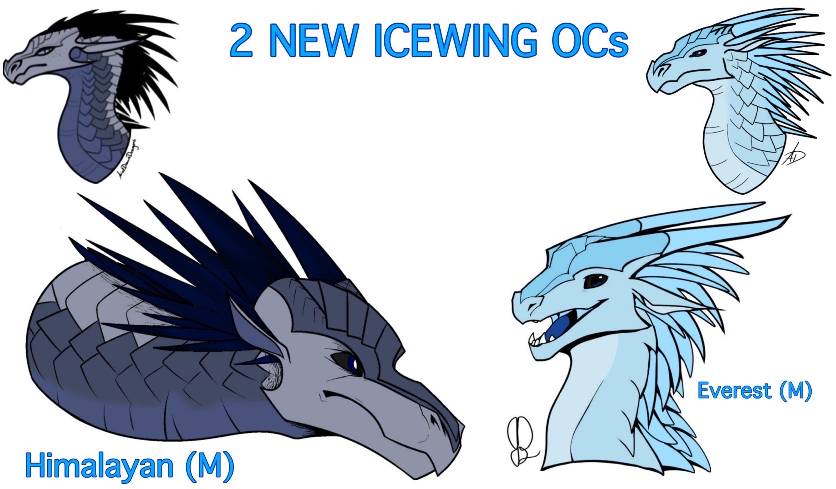 Simple Icewing Two NEW IceWing OCs by Stormzaza on DeviantArt