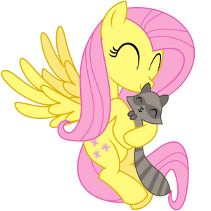 Fluttershy and Raccoon
