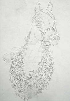 Arabian Pencil Drawing