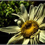 In darkness, there is hope2