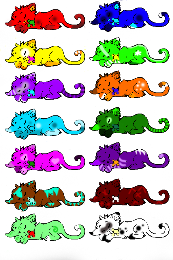 Cat Adoptables