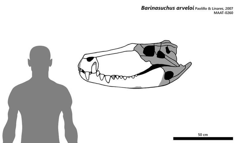 Barinasuchus arveloi by bLAZZE92