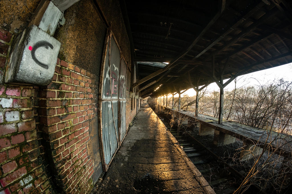 Abandoned shed