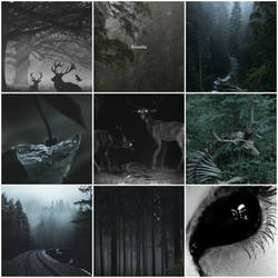 Mood-board 2