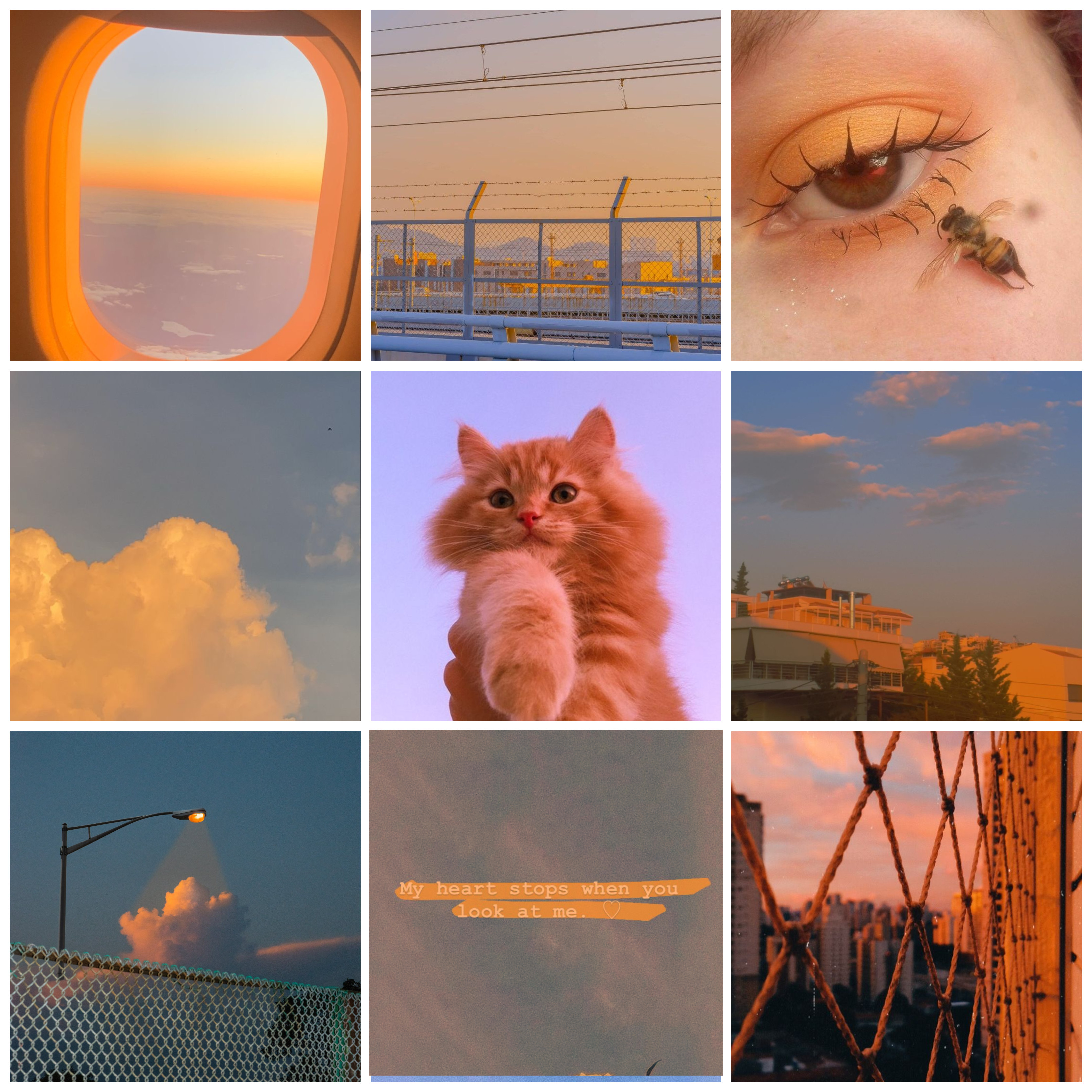 Mood-board 31 by AlmondTheFoxWing on DeviantArt Mood-board 31 by AlmondTheFoxWing on DeviantArt