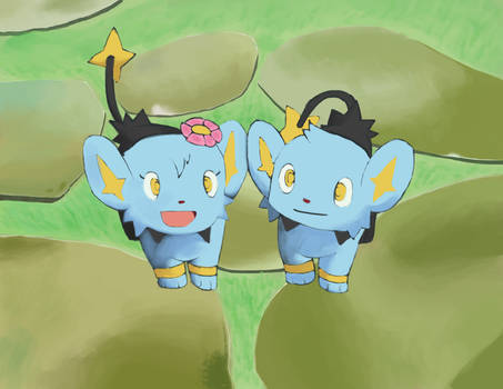 Shinx