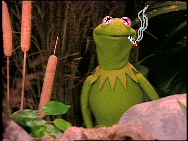 kermit by NooDLeS2nd on DeviantArt