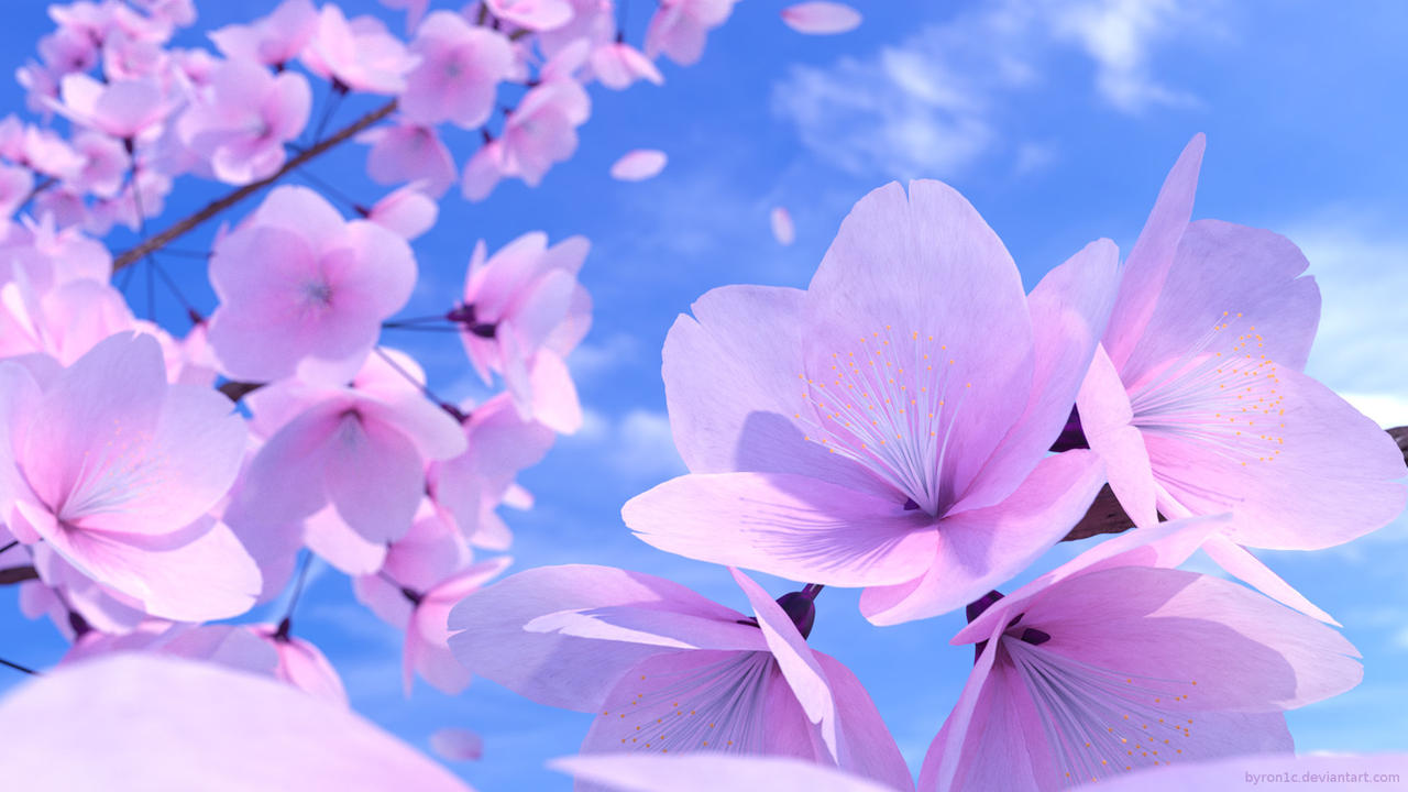 Cherry Blossoms in Blender