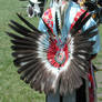 Eagle Feather Bustle