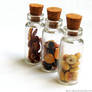 Bacon, Cookie, and Donut Charm Jars