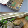FOR SALE - Miniature Koi and Turtle Altoids Pond