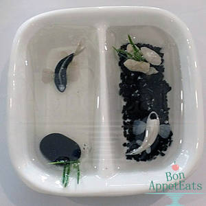 Yin Yang Miniature Koi Pond