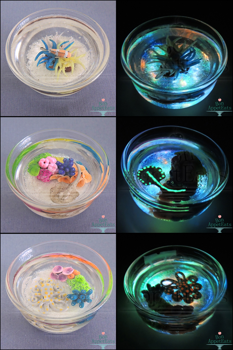 Ocean Themed Glow in the Dark Miniature Ponds