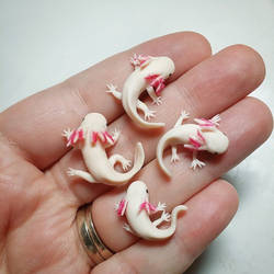 Miniature Axolotls