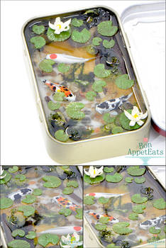 Large Altoids Tin Koi Pond