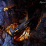 Urbex Underground 1