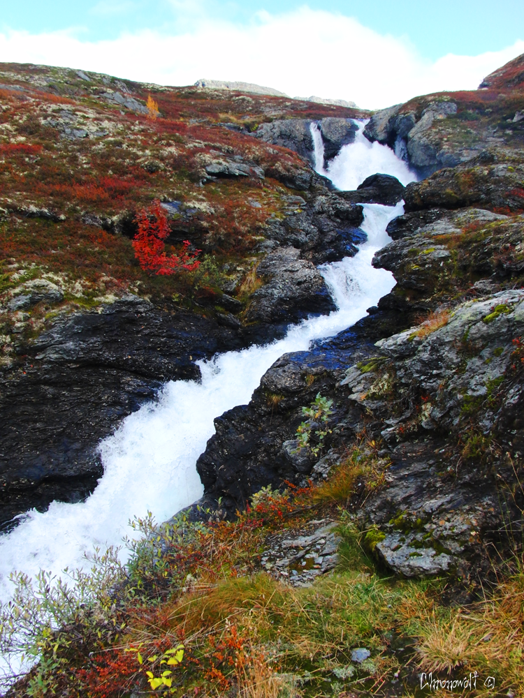 Autumn Rivulet by Bluewolfeye on DeviantArt