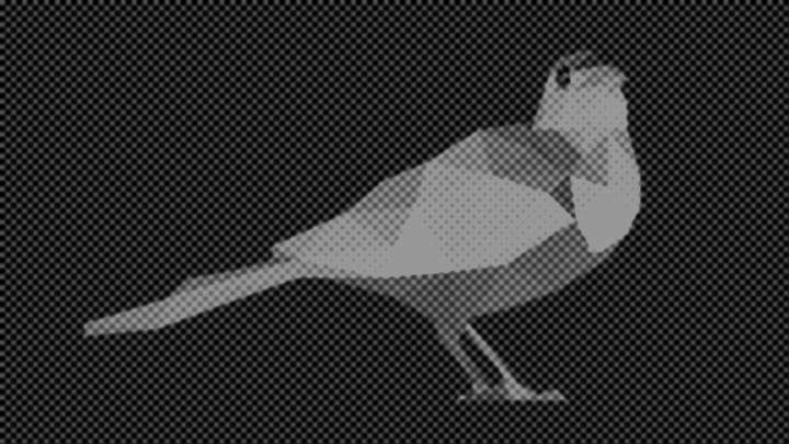 Gray Dot Bird Low Poly2 by Caen-N
