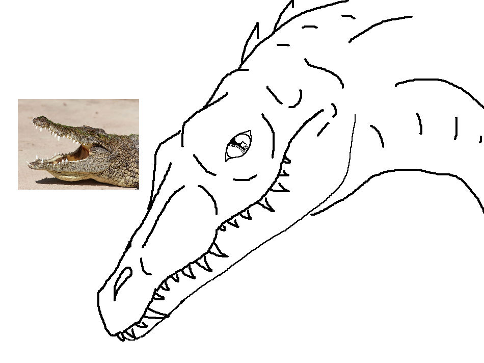 Just testing out some stuff. by DinoGirl500 on DeviantArt