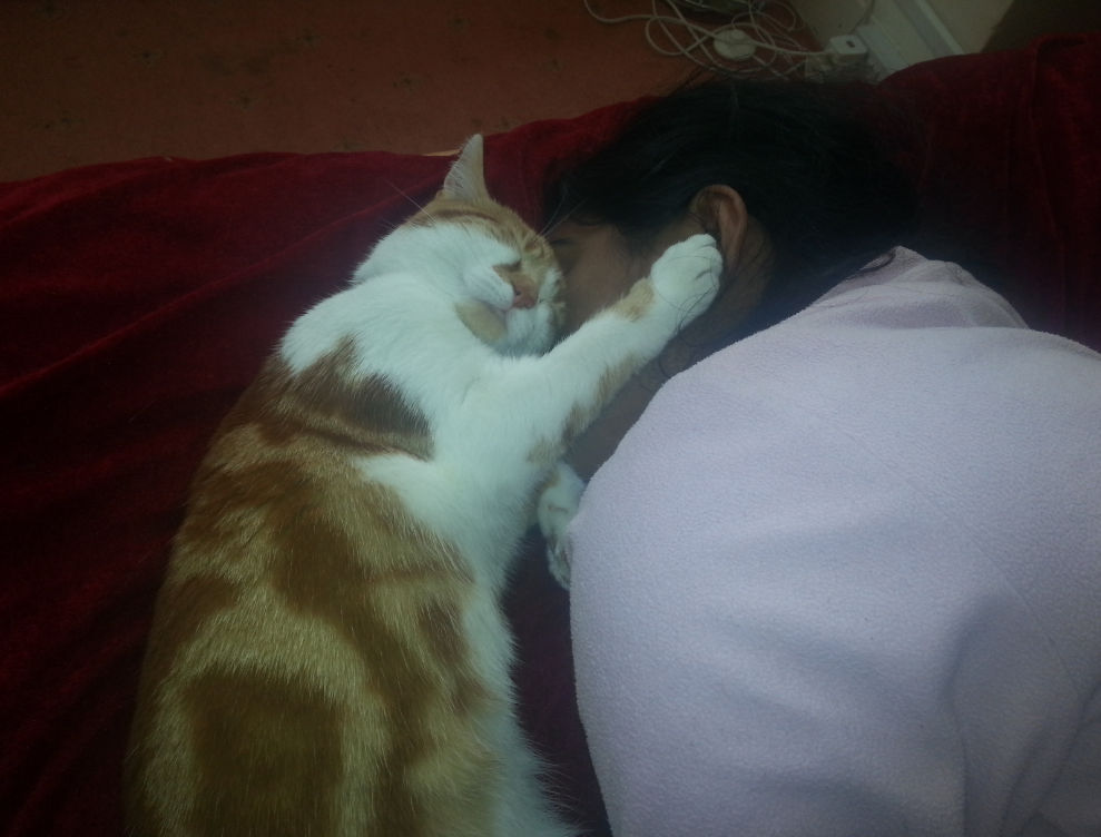 Fast asleep by DinoGirl500 on DeviantArt