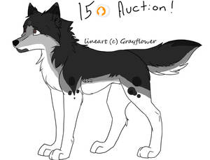 Wolf Adoptable1.