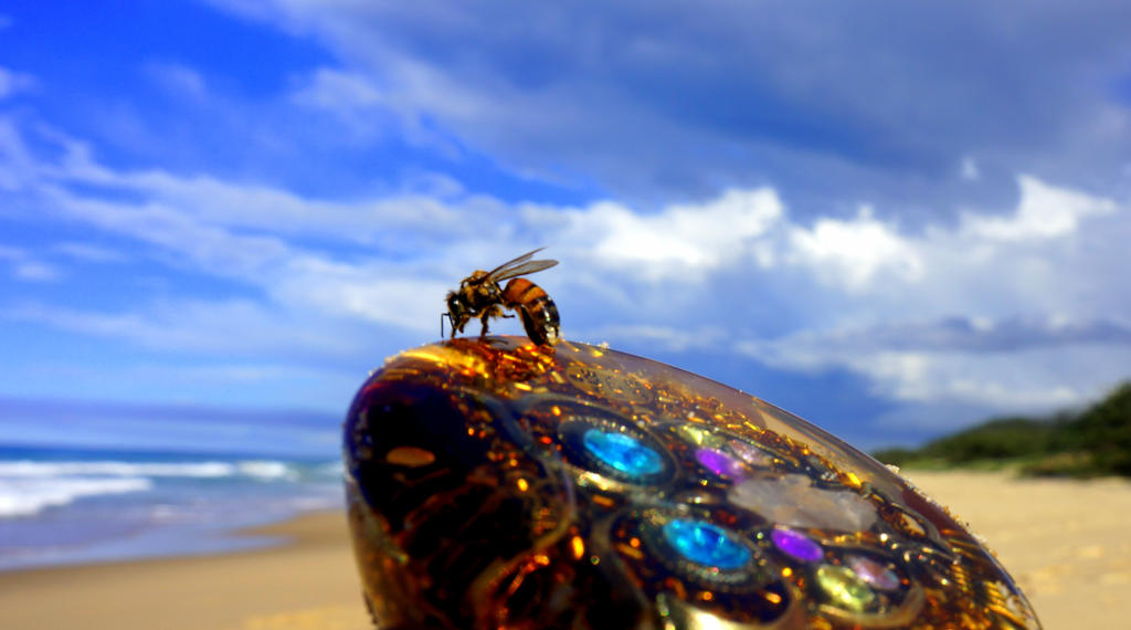 Bee at the Beach by SunBub on DeviantArt